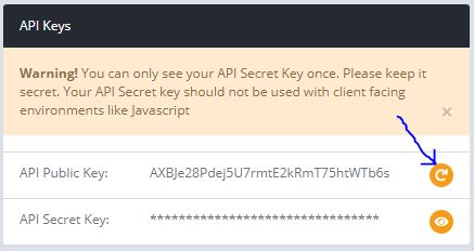 La zone clé API dans Paramètres de l'organisation