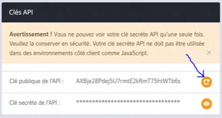 La zone clé API dans Paramètres de l'organisation
