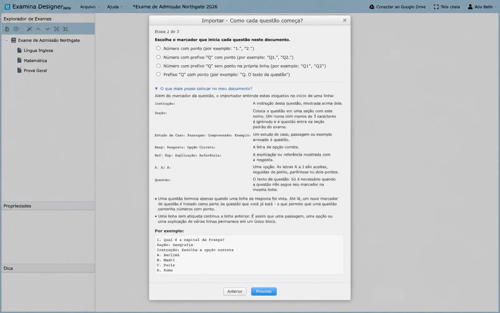 Etapa 2 com as opções de marcador de questão e o painel de tags aberto